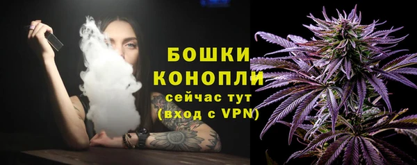 тгк Богданович
