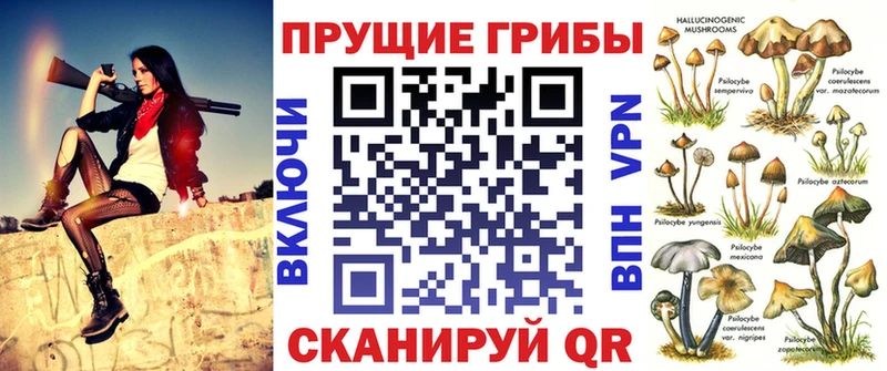 darknet наркотические препараты  Володарск  Псилоцибиновые грибы Cubensis 